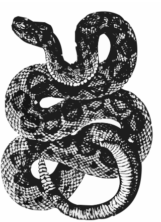 Bad Ideas mascot (a rattlesnake)