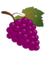 Grapes