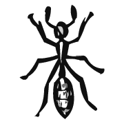 Ant